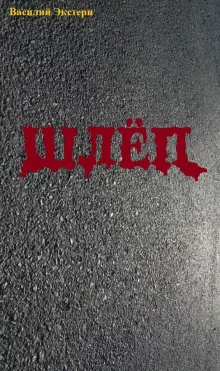 постер аудиокниги Шлёп