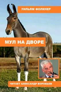 постер аудиокниги Мул на дворе - Фолкнер Уильям