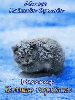 постер аудиокниги Котино горюшко - Надежда Орехова