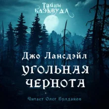 постер аудиокниги Угольная чернота