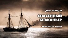 постер аудиокниги Спасенный браконьер