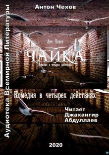 постер аудиокниги Чайка