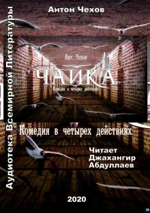 постер аудиокниги Чайка