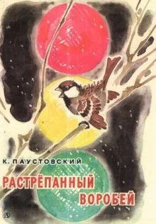 постер аудиокниги Растрёпанный воробей