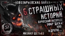 постер аудиокниги Новозарьевские байки 4