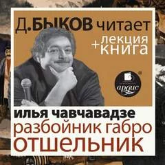 постер аудиокниги Разбойник Габро. Отшельник + Лекция Дмитрия Быкова - Илья Чавчавадзе