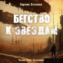 постер аудиокниги Бегство к звёздам