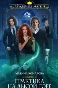 постер аудиокниги Практика на Лысой горе - Марина Комарова