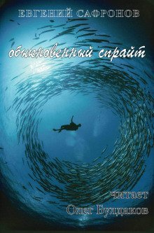 постер аудиокниги Обыкновенный спрайт