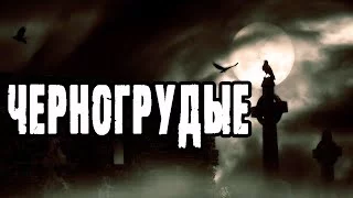 постер аудиокниги Черногрудые - Лин Яровой