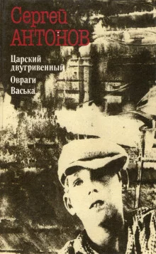 постер аудиокниги Царский двугривенный