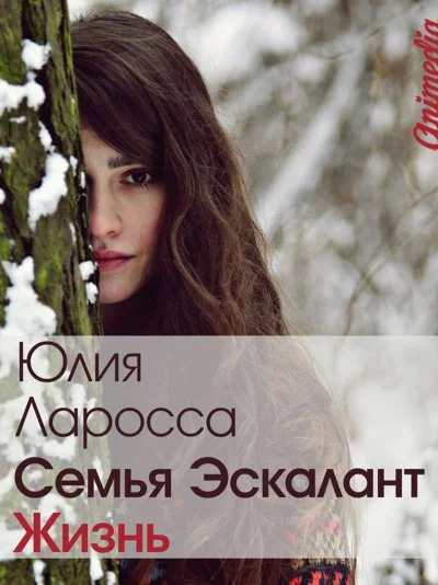 постер аудиокниги Жизнь - Юлия Ларосса