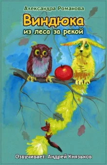 постер аудиокниги Виндюка