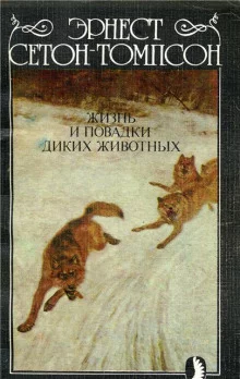 постер аудиокниги Жизнь и повадки диких животных