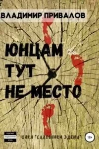 постер аудиокниги Юнцам тут не место - Владимир Привалов