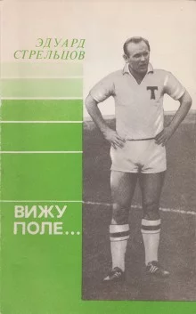 постер аудиокниги Вижу поле...