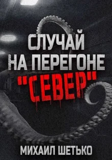 постер аудиокниги Случай на перегоне "Север"