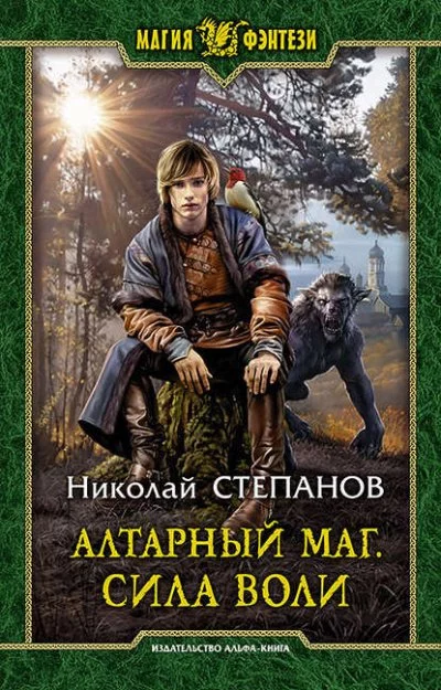 постер аудиокниги Сила воли - Николай Степанов