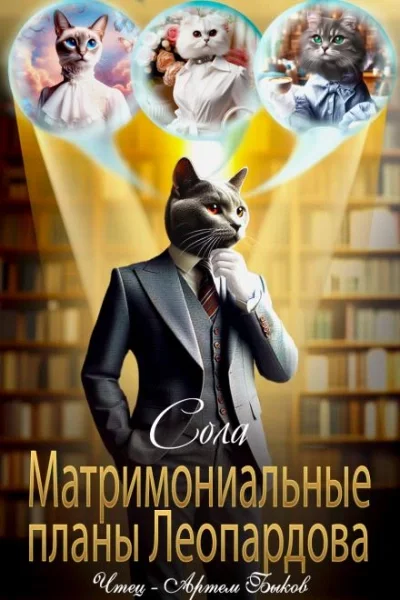 постер аудиокниги Матримониальные планы Леопардова - Сола