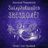 постер аудиокниги Заблудившийся звездолет