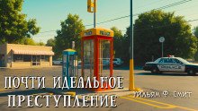 постер аудиокниги Почти идеальное преступление