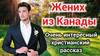 постер аудиокниги Жених из Канады - Волкова Екатерина