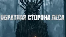 постер аудиокниги Обратная сторона леса
