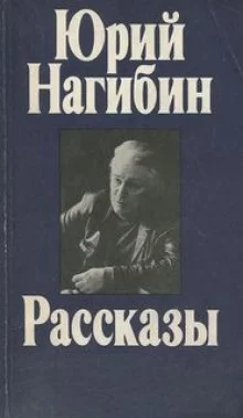 постер аудиокниги Случайный пришелец