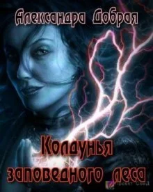 постер аудиокниги Колдунья заповедного леса
