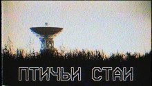 постер аудиокниги Птичьи стаи