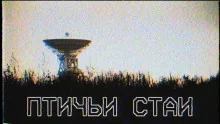 постер аудиокниги Птичьи стаи