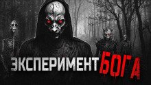 постер аудиокниги Божественный эксперимент