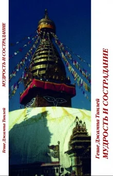 постер аудиокниги Мудрость и сострадание