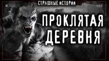постер аудиокниги Тайна детства в деревне