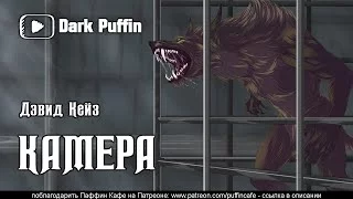 постер аудиокниги Камера - Джон Кейз