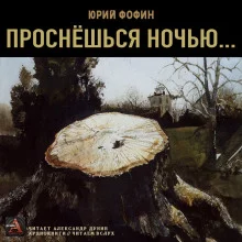 постер аудиокниги Проснёшься ночью...