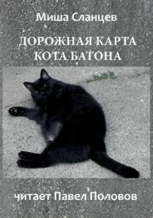 постер аудиокниги Дорожная карта кота Батона