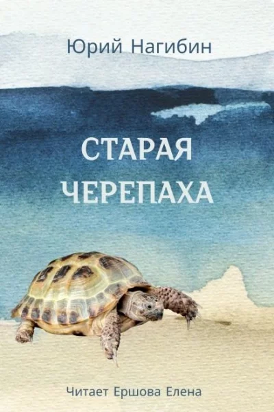 постер аудиокниги Старая черепаха - Юрий Нагибин