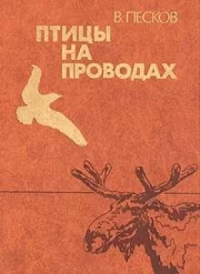постер аудиокниги Птицы на проводах