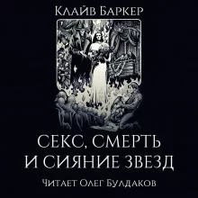 постер аудиокниги Секс, смерть и сияние звёзд