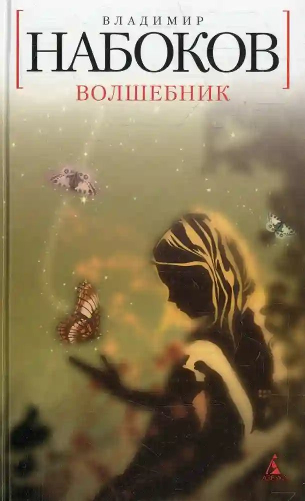 постер аудиокниги Волшебник