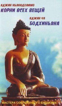 постер аудиокниги Корни всех вещей