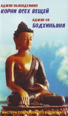 постер аудиокниги Корни всех вещей