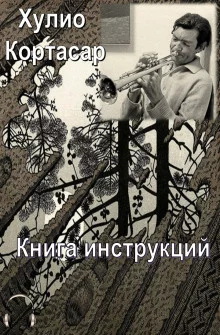 постер аудиокниги Книга инструкций