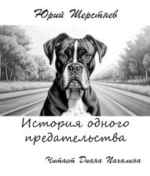 постер аудиокниги История одного предательства