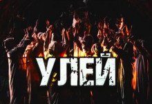 постер аудиокниги Улей