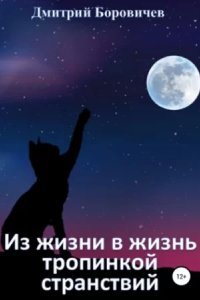 Из жизни в жизнь тропинкой странствий - Дмитрий Боровичёв