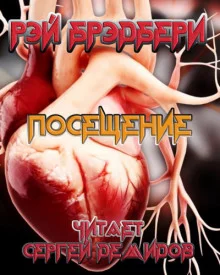 постер аудиокниги Посещение