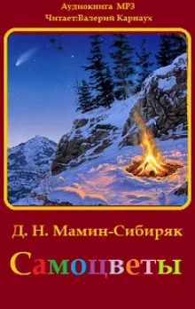 постер аудиокниги Самоцветы