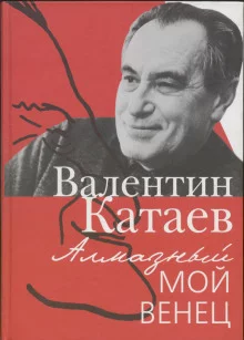 постер аудиокниги Святой колодец